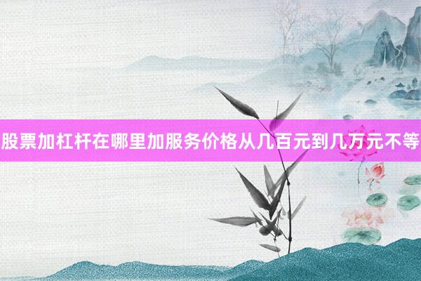 股票加杠杆在哪里加服务价格从几百元到几万元不等
