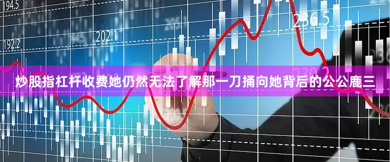 炒股指杠杆收费她仍然无法了解那一刀捅向她背后的公公鹿三