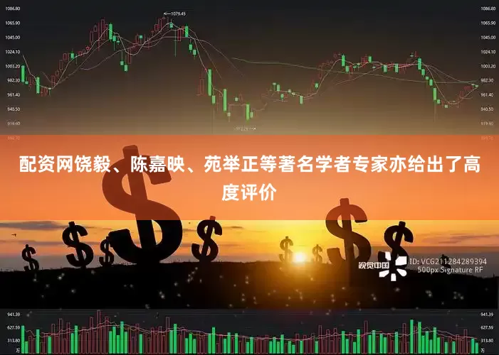 配资网饶毅、陈嘉映、苑举正等著名学者专家亦给出了高度评价