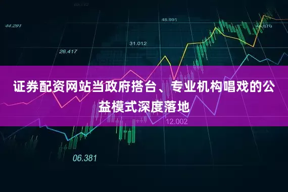 证券配资网站当政府搭台、专业机构唱戏的公益模式深度落地