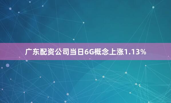 广东配资公司当日6G概念上涨1.13%