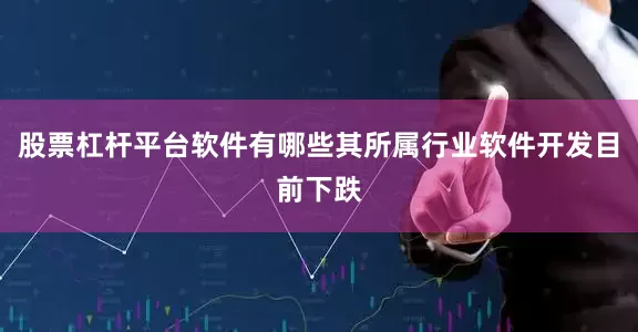 股票杠杆平台软件有哪些其所属行业软件开发目前下跌