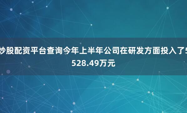 炒股配资平台查询今年上半年公司在研发方面投入了5528.49万元