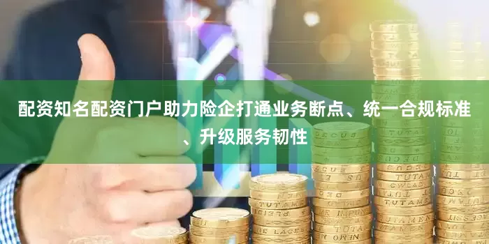 配资知名配资门户助力险企打通业务断点、统一合规标准、升级服务韧性
