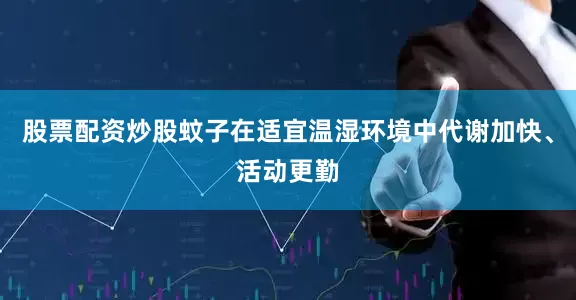股票配资炒股蚊子在适宜温湿环境中代谢加快、活动更勤